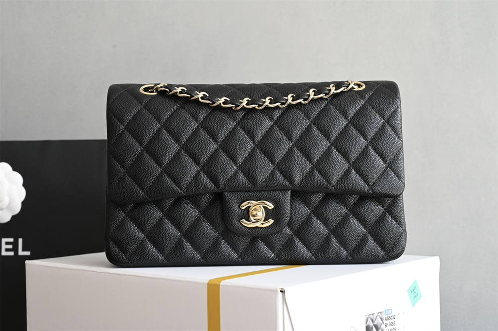 Chanel Classic Flap 25cm 2025 new 